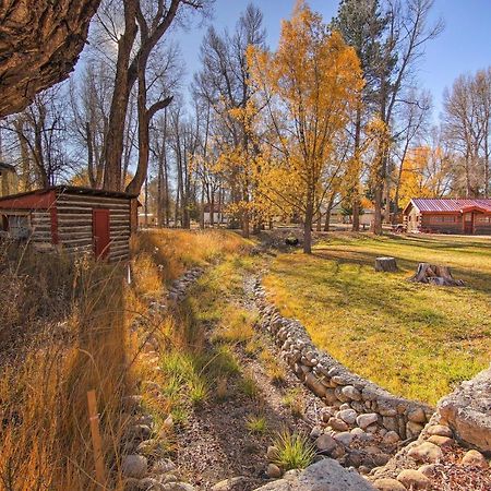 Cozy Colorado Cabin With Deck, Grill And River Access! بوينا فيستا المظهر الخارجي الصورة