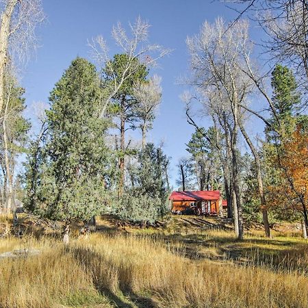 Cozy Colorado Cabin With Deck, Grill And River Access! بوينا فيستا المظهر الخارجي الصورة