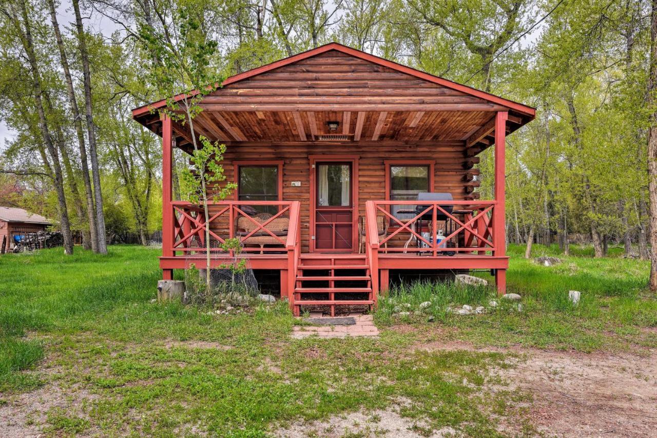 Cozy Colorado Cabin With Deck, Grill And River Access! بوينا فيستا المظهر الخارجي الصورة