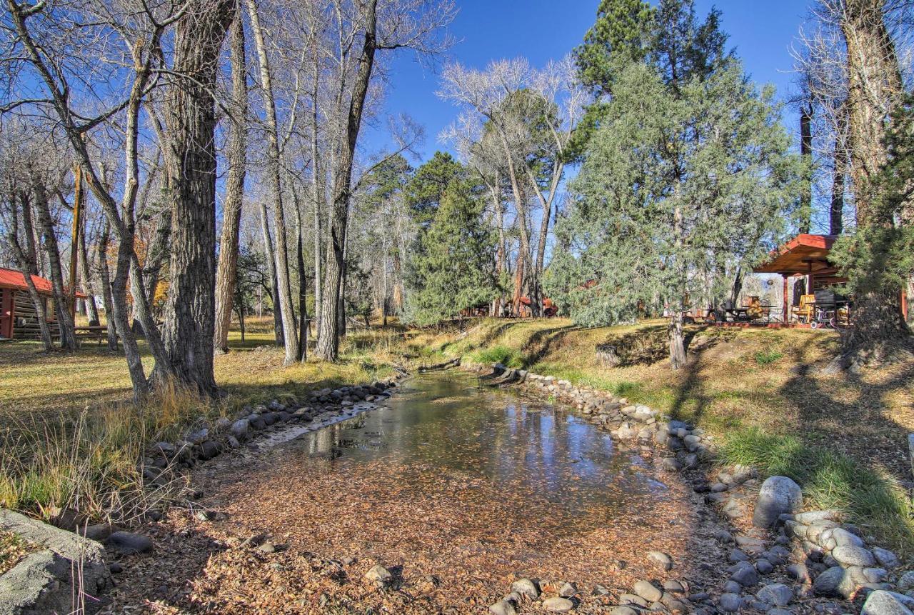 Cozy Colorado Cabin With Deck, Grill And River Access! بوينا فيستا المظهر الخارجي الصورة