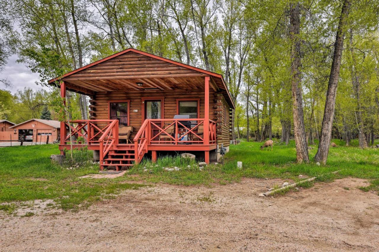 Cozy Colorado Cabin With Deck, Grill And River Access! بوينا فيستا المظهر الخارجي الصورة