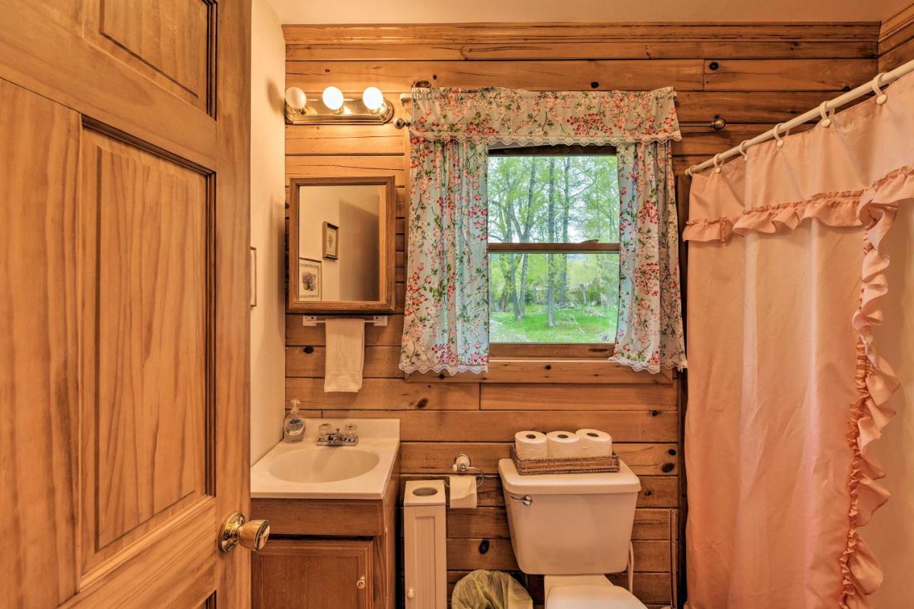 Cozy Colorado Cabin With Deck, Grill And River Access! بوينا فيستا المظهر الخارجي الصورة